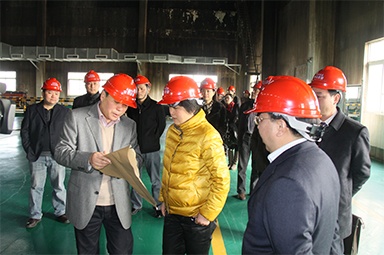 2012年1月31日，，，时任嘉兴市委书记鲁俊率领市发改委等市级部分认真人到公司调研