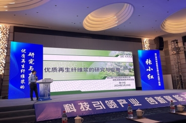 NG电子游戏纸业高手艺人才张小红在第一届浙江。。危┲交轮柿瞎ひ盗⒁焐ご蠡嶙鞣窒